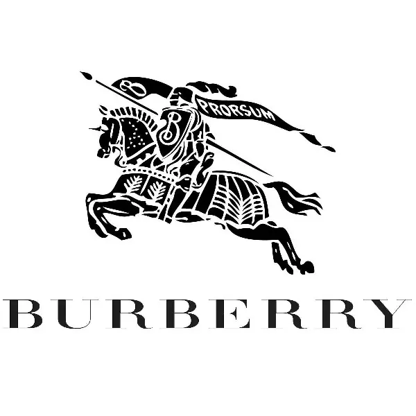 Burberry Designer Logo